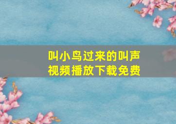 叫小鸟过来的叫声视频播放下载免费