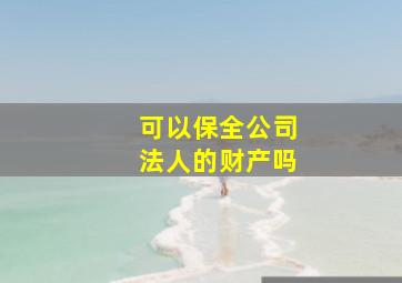 可以保全公司法人的财产吗