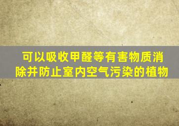 可以吸收甲醛等有害物质消除并防止室内空气污染的植物