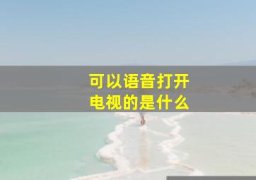 可以语音打开电视的是什么