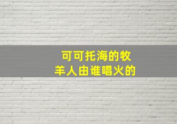 可可托海的牧羊人由谁唱火的