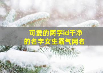 可爱的两字id干净的名字女生霸气网名