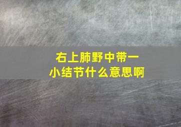 右上肺野中带一小结节什么意思啊