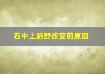 右中上肺野改变的原因