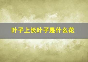 叶子上长叶子是什么花