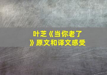 叶芝《当你老了》原文和译文感受