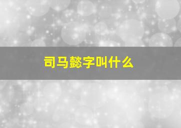 司马懿字叫什么