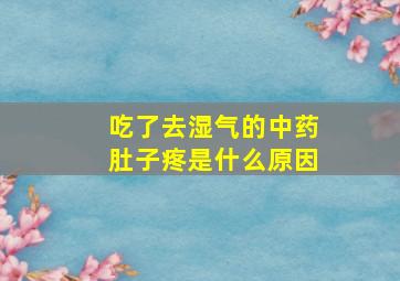 吃了去湿气的中药肚子疼是什么原因