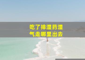 吃了排湿药湿气走哪里出去