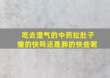 吃去湿气的中药拉肚子瘦的快吗还是胖的快些呢