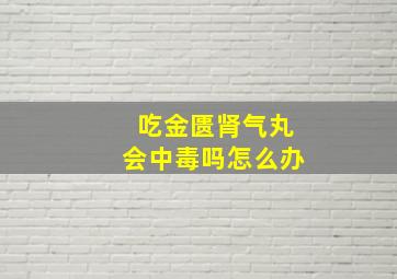 吃金匮肾气丸会中毒吗怎么办