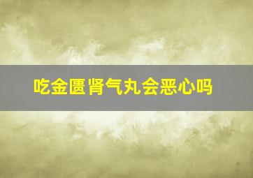 吃金匮肾气丸会恶心吗