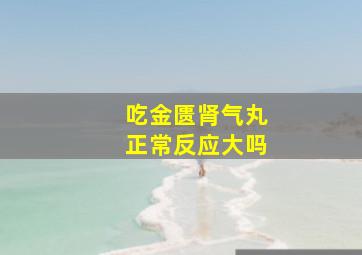 吃金匮肾气丸正常反应大吗