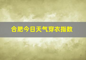 合肥今日天气穿衣指数