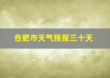 合肥市天气预报三十天