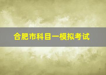 合肥市科目一模拟考试