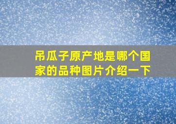 吊瓜子原产地是哪个国家的品种图片介绍一下