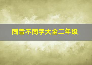 同音不同字大全二年级