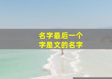 名字最后一个字是文的名字