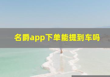 名爵app下单能提到车吗