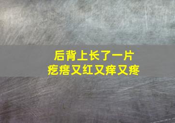 后背上长了一片疙瘩又红又痒又疼