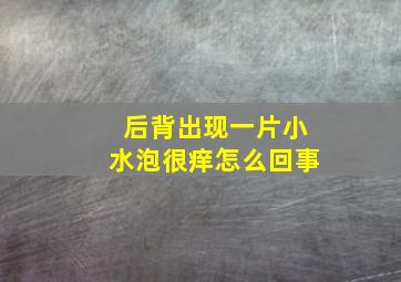 后背出现一片小水泡很痒怎么回事