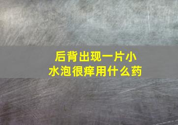 后背出现一片小水泡很痒用什么药