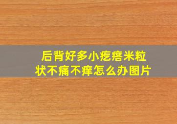 后背好多小疙瘩米粒状不痛不痒怎么办图片