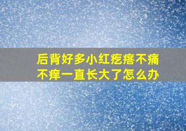 后背好多小红疙瘩不痛不痒一直长大了怎么办