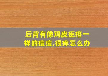 后背有像鸡皮疙瘩一样的痘痘,很痒怎么办