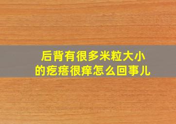 后背有很多米粒大小的疙瘩很痒怎么回事儿