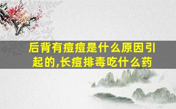 后背有痘痘是什么原因引起的,长痘排毒吃什么药