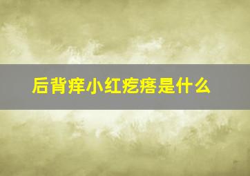 后背痒小红疙瘩是什么