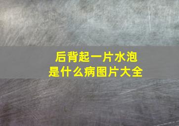 后背起一片水泡是什么病图片大全