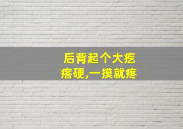 后背起个大疙瘩硬,一摸就疼