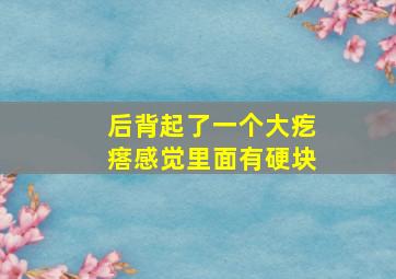 后背起了一个大疙瘩感觉里面有硬块