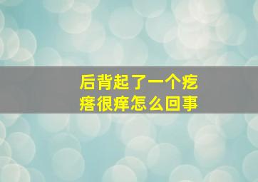 后背起了一个疙瘩很痒怎么回事