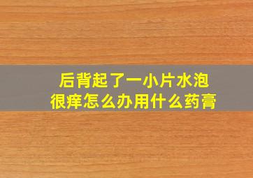 后背起了一小片水泡很痒怎么办用什么药膏