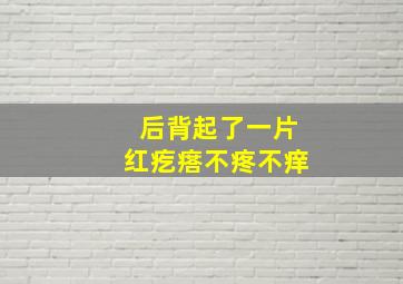 后背起了一片红疙瘩不疼不痒