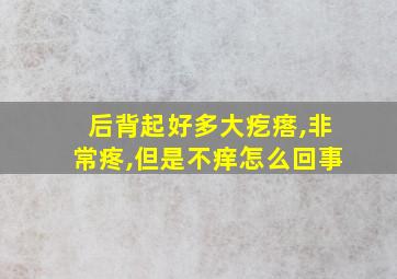 后背起好多大疙瘩,非常疼,但是不痒怎么回事