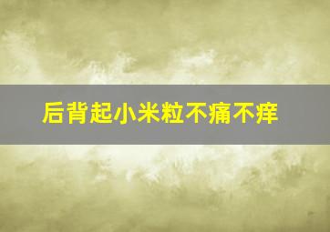 后背起小米粒不痛不痒