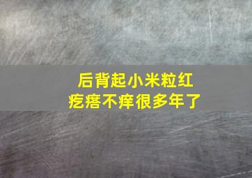 后背起小米粒红疙瘩不痒很多年了