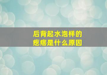 后背起水泡样的疙瘩是什么原因