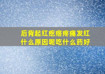 后背起红疙瘩疼痛发红什么原因呢吃什么药好