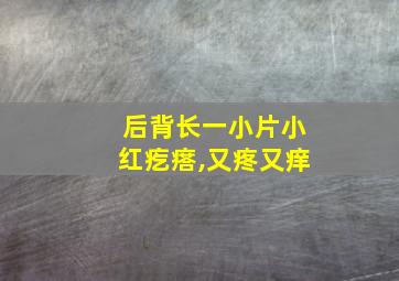 后背长一小片小红疙瘩,又疼又痒