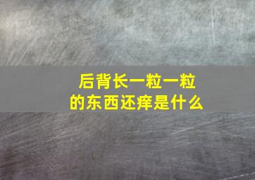 后背长一粒一粒的东西还痒是什么