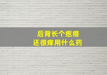 后背长个疙瘩还很痒用什么药