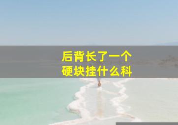 后背长了一个硬块挂什么科