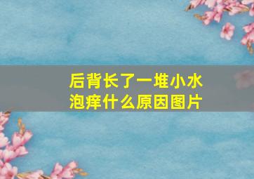 后背长了一堆小水泡痒什么原因图片