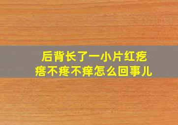 后背长了一小片红疙瘩不疼不痒怎么回事儿